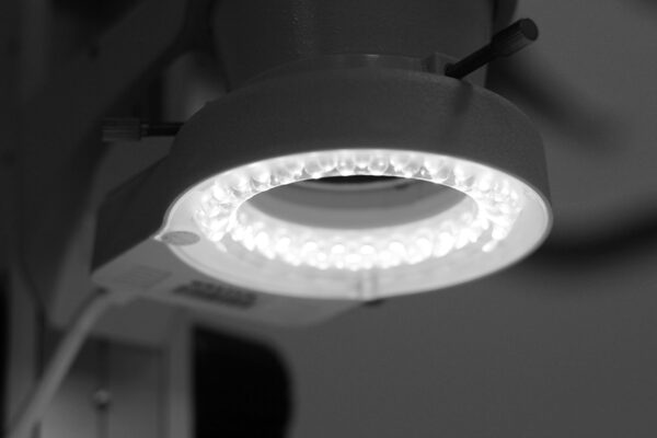 SM645S Stereomicroscopy - Image 5