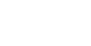 logo_radwag_balances_and_scales copy